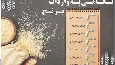 نگاهی به واردات برنج