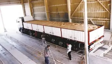 فناوری علوفه به بار نمی‌آورد