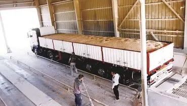 فناوری علوفه به بار نمی‌آورد