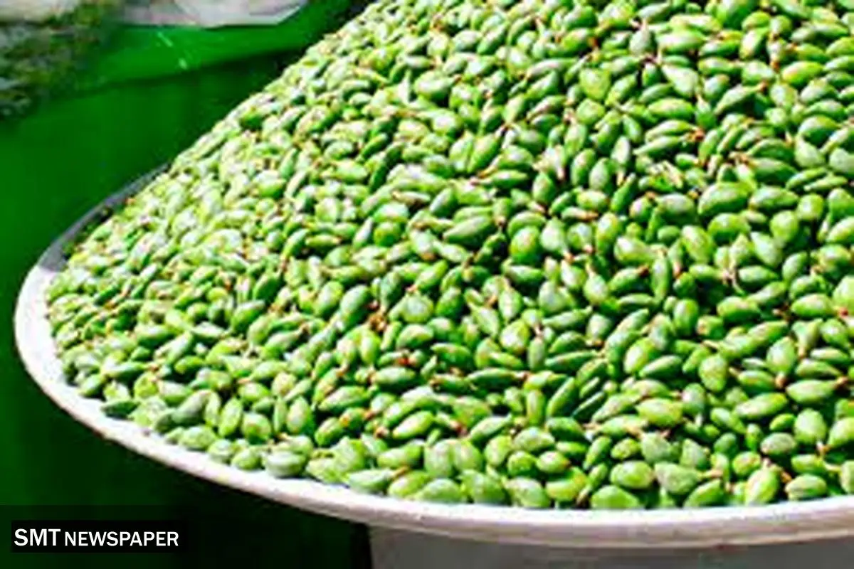 این میوه نوبرانه از دسترس خارج شد