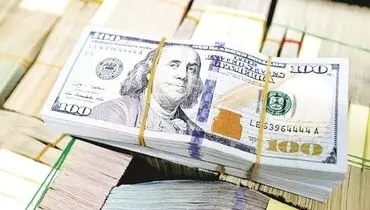 آماده باش برای گرانی اقلام اساسی/حذف ارز دولتی از ۲۰۰ قلم کالا