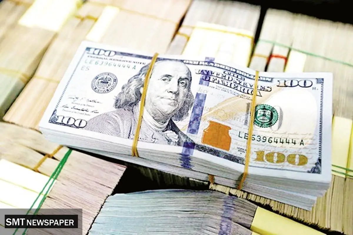 آماده باش برای گرانی اقلام اساسی/حذف ارز دولتی از ۲۰۰ قلم کالا