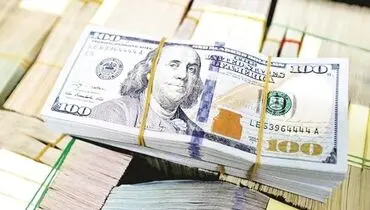 آماده باش برای گرانی اقلام اساسی/حذف ارز دولتی از ۲۰۰ قلم کالا
