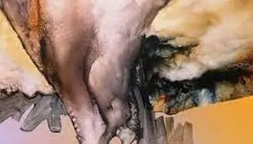 دیدن یا ندیدن هنر؛ نکته این است