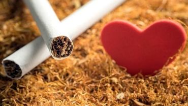 تأثیر دخانیات بر سلامت قلب و عروق