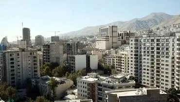 «ارز» گور مسکن را کند
