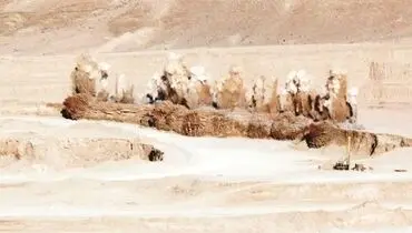 قول‌ و قرارهایی برای توسعه اکتشاف