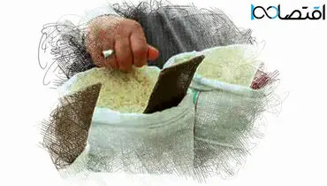 برنج در دیگ سلف‌خَرها می‌جوشد / دولت هم پول خرید برنج ایرانی ندارد