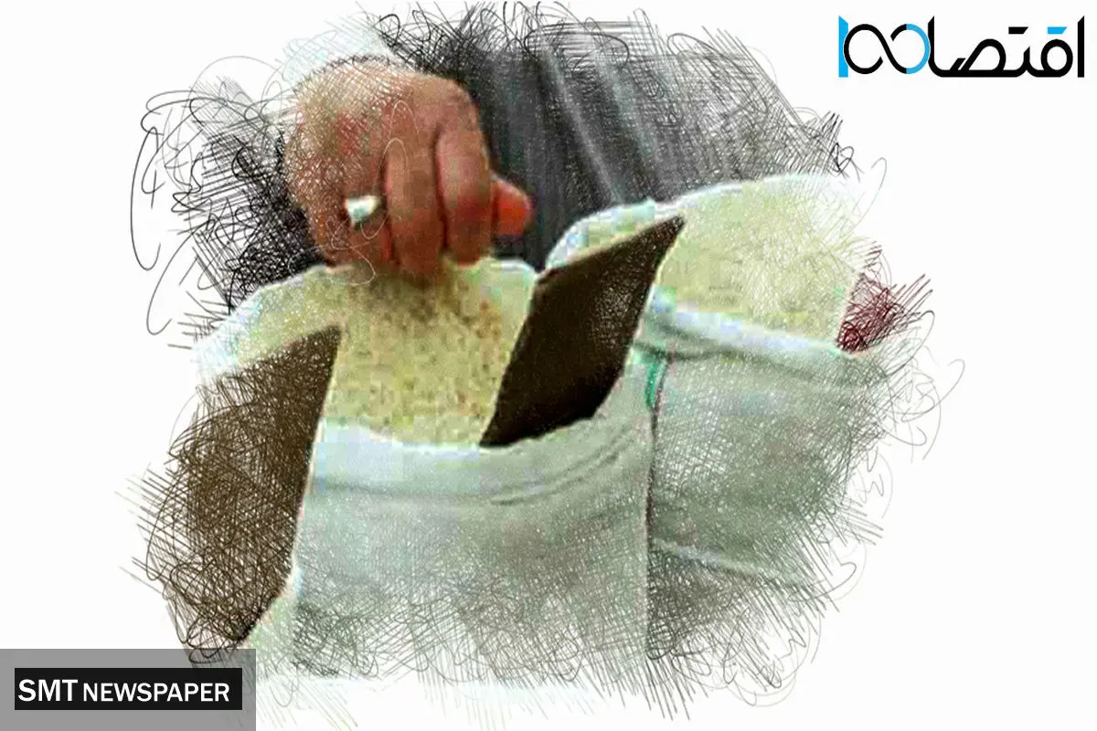 برنج در دیگ سلفخَرها میجوشد / دولت هم پول خرید برنج ایرانی ندارد