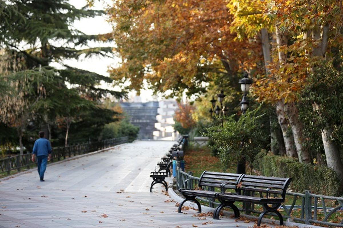 زیبایی شهر اتفاقی نیست