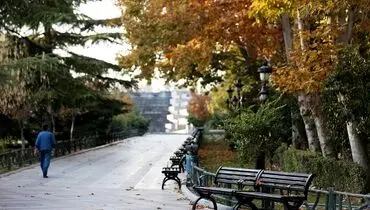 زیبایی شهر اتفاقی نیست