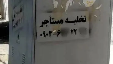 شرخرها در کمین مستاجران / شغل جدید از راه رسید!