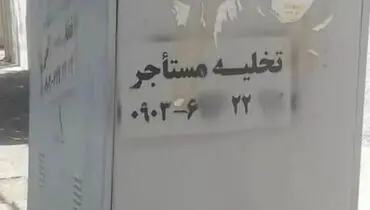 شرخرها در کمین مستاجران / شغل جدید از راه رسید!