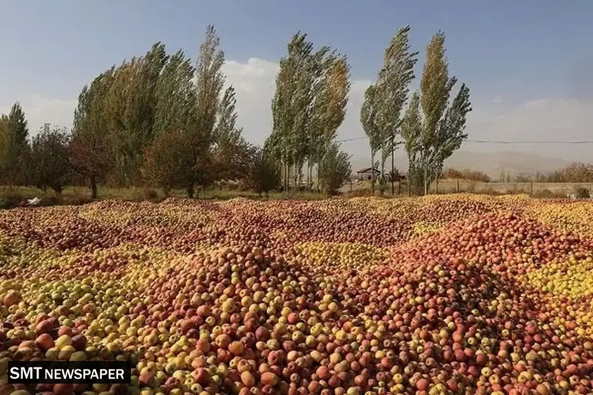 تـراژدی غـذایـی