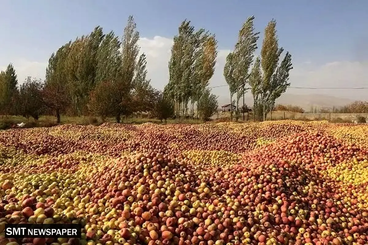 تـراژدی غـذایـی