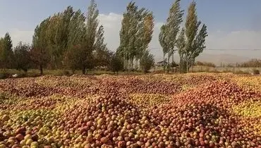 تـراژدی غـذایـی