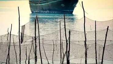 برکت دریا