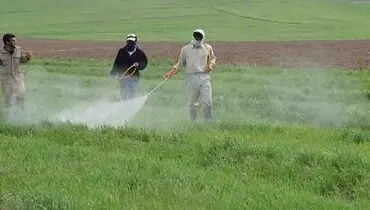 جبران خسارت کشاورزان در هاله‌ای از ابهام