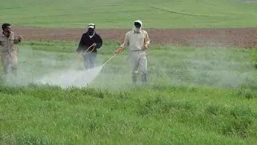 جبران خسارت کشاورزان در هاله‌ای از ابهام