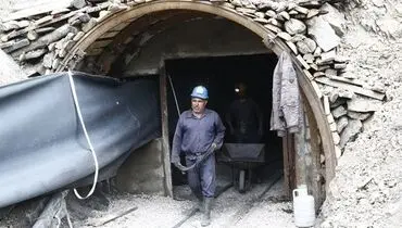 قمار جان برای نان