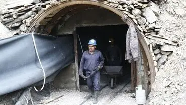 قمار جان برای نان