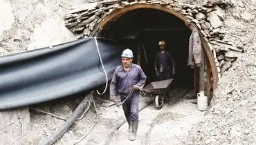 ایمنی اولویت نیست