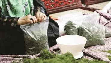 مشاغل خانگی، محروم از حمایت