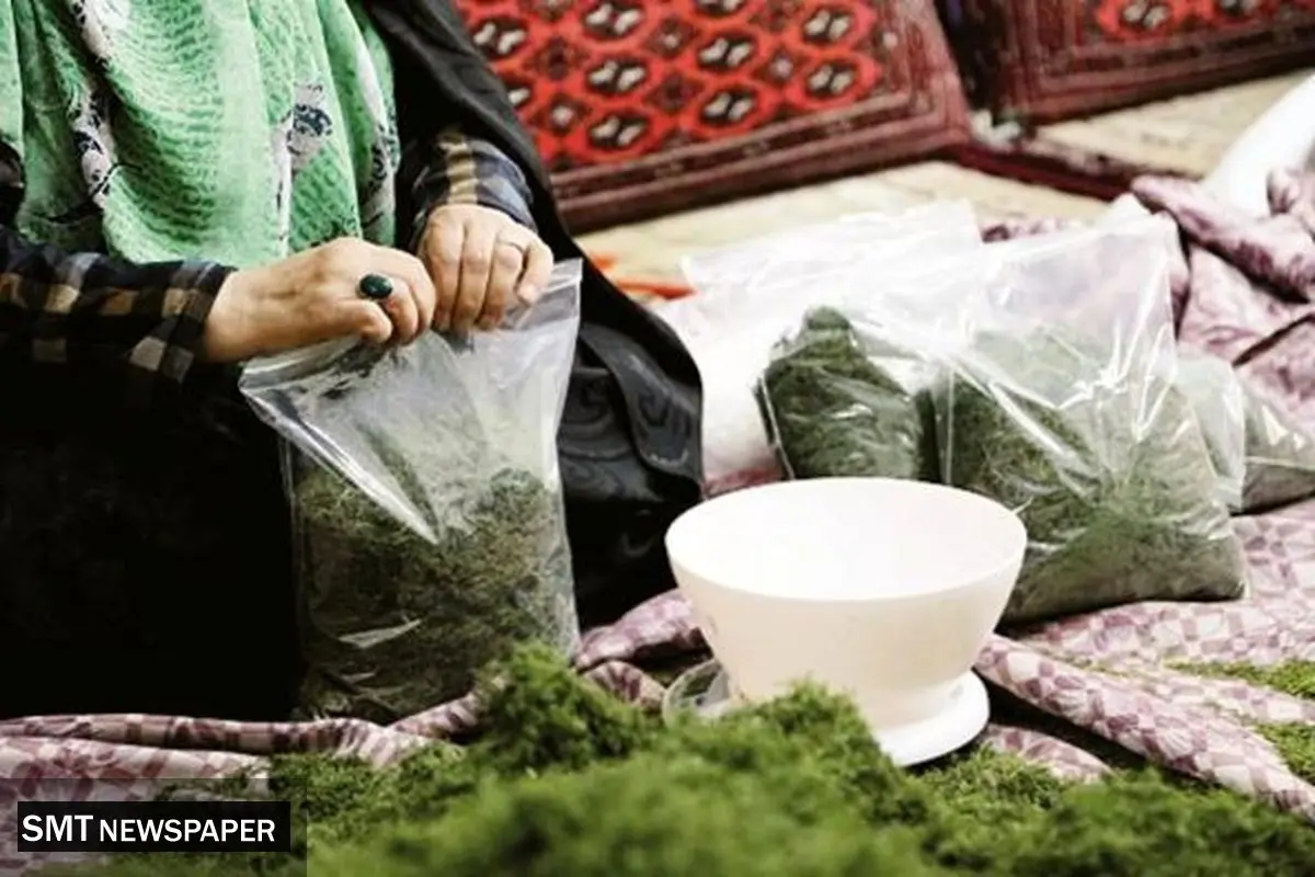 مشاغل خانگی، محروم از حمایت