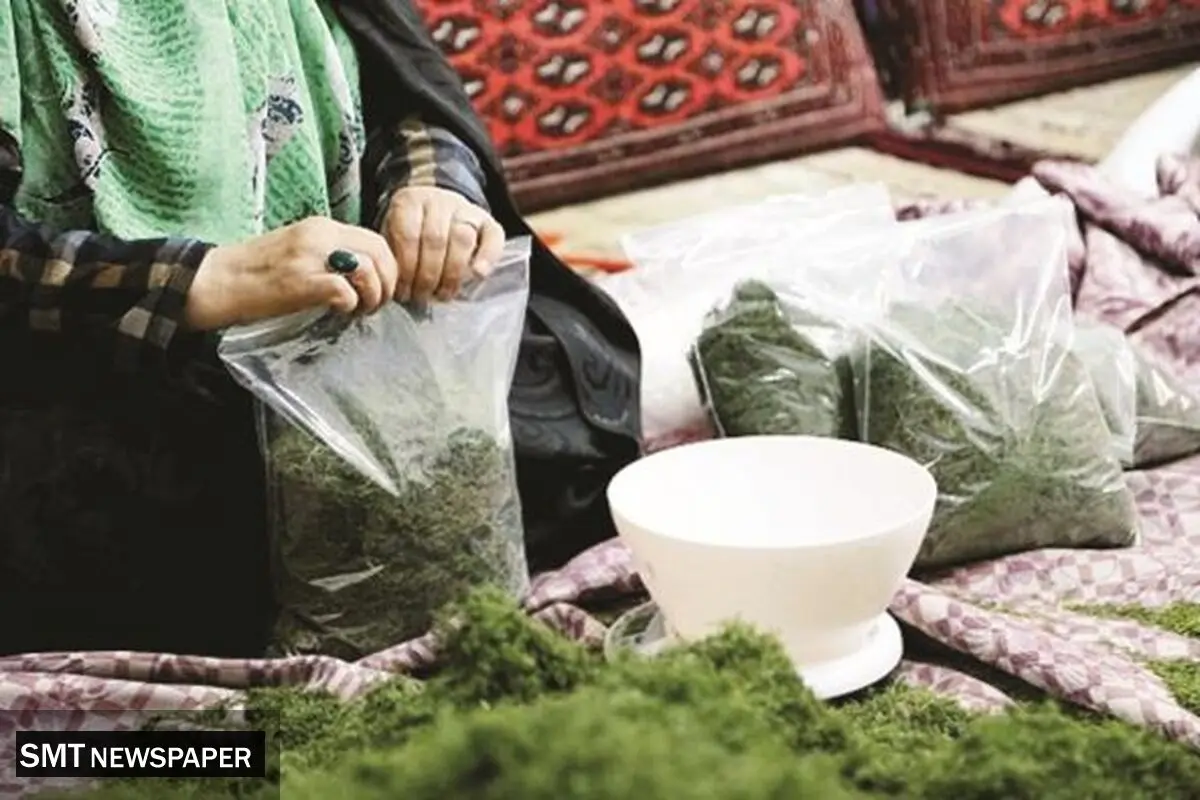 مشاغل خانگی، محروم از حمایت
