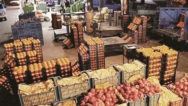 پایانه‌های صادراتی قدرت اجرایی ندارند