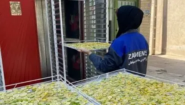 نقش پر رنگ صنعت میوه خشک در کارآفرینی
