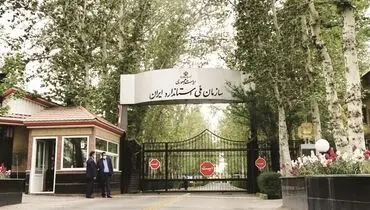 «استاندارد» یک شمشیر دولبه است