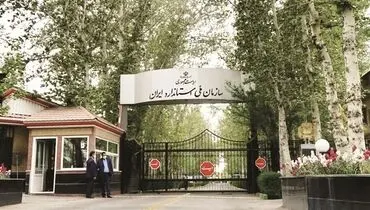 «استاندارد» یک شمشیر دولبه است