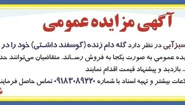 مزایده عمومی گله دام زنده شرکت کشت و صنعت سبزآبی
