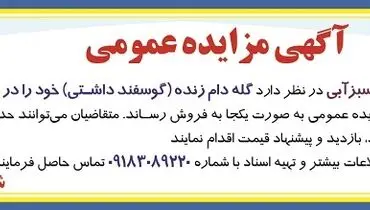 مزایده عمومی گله دام زنده شرکت کشت و صنعت سبزآبی