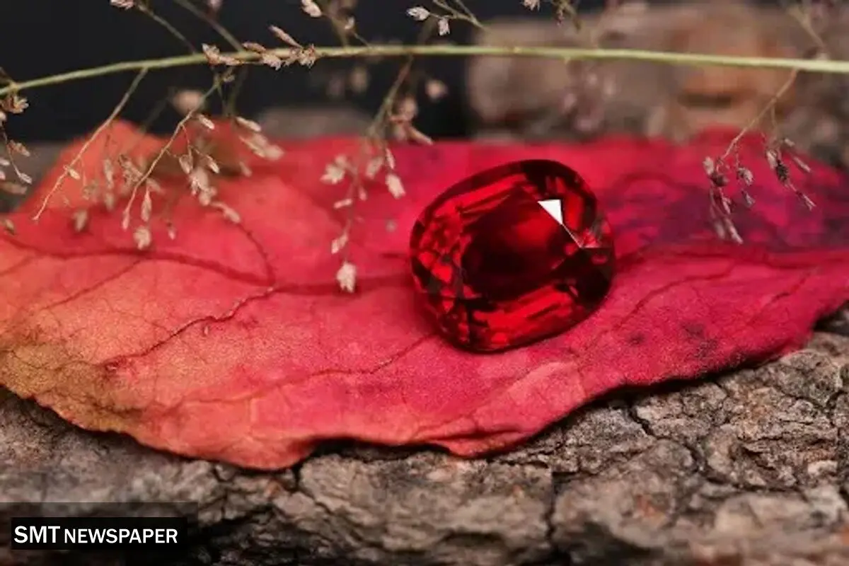 سنگ سانچیا