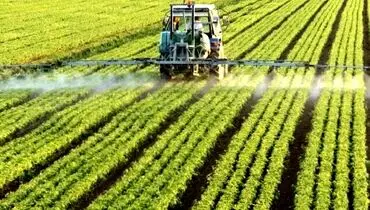 کیفیت اراضی کشاورزی رو به افول است