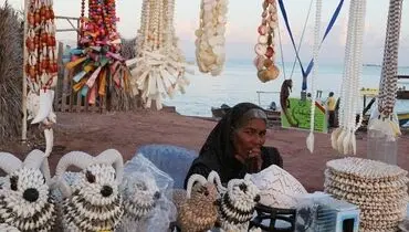 فناوران، توسعه‌بخش اشتغال در روستاها
