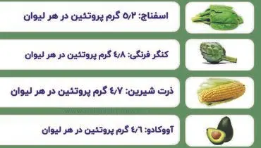 سبزیجات پروتئینی را بشناسید + عکس