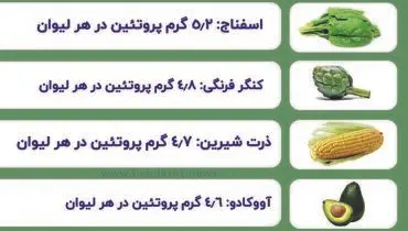 سبزیجات پروتئینی را بشناسید + عکس