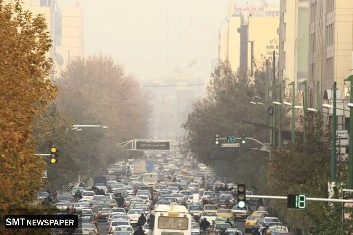 آلودگی، آورده اقتصاد بیمار