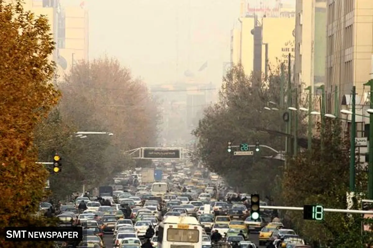 آلودگی، آورده اقتصاد بیمار