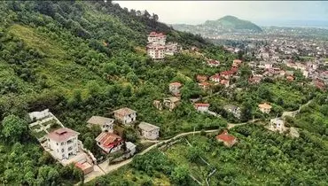 نگه‌داشت منابع جنگلی باید صرفه اقتصادی داشته باشد