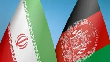 همسایه هم‌فرهنگ، بازار پرسود‌