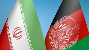 همسایه هم‌فرهنگ، بازار پرسود‌