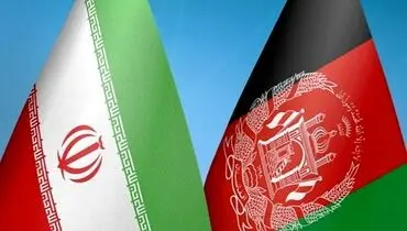 همسایه هم‌فرهنگ، بازار پرسود‌