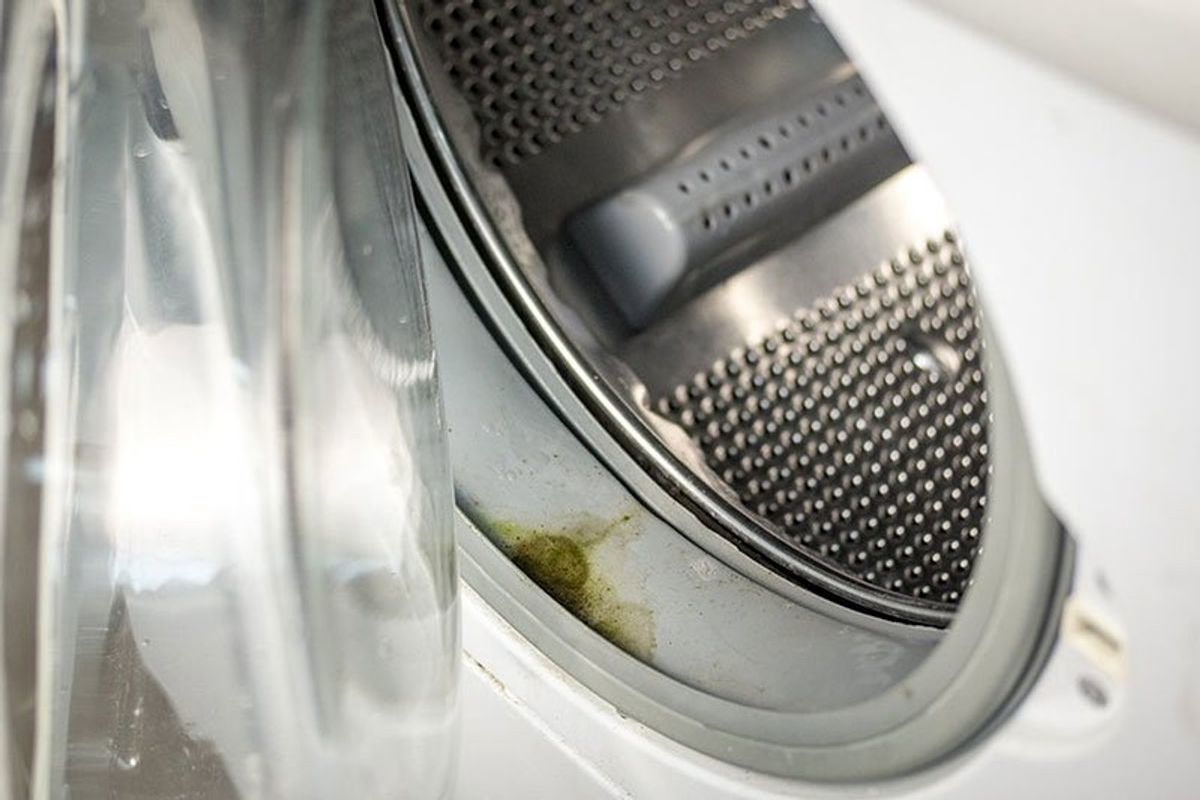 علت کپک زدن روی لاستیک ماشین لباسشویی ال جی