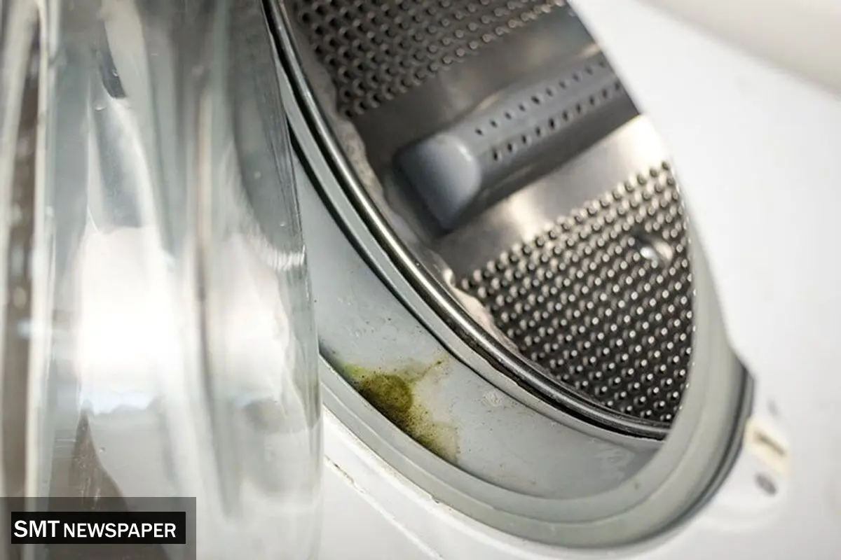 علت کپک زدن روی لاستیک ماشین لباسشویی ال جی