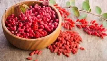 توسعه اقتصاد شرق کشور با حمایت از صادرات زرشک