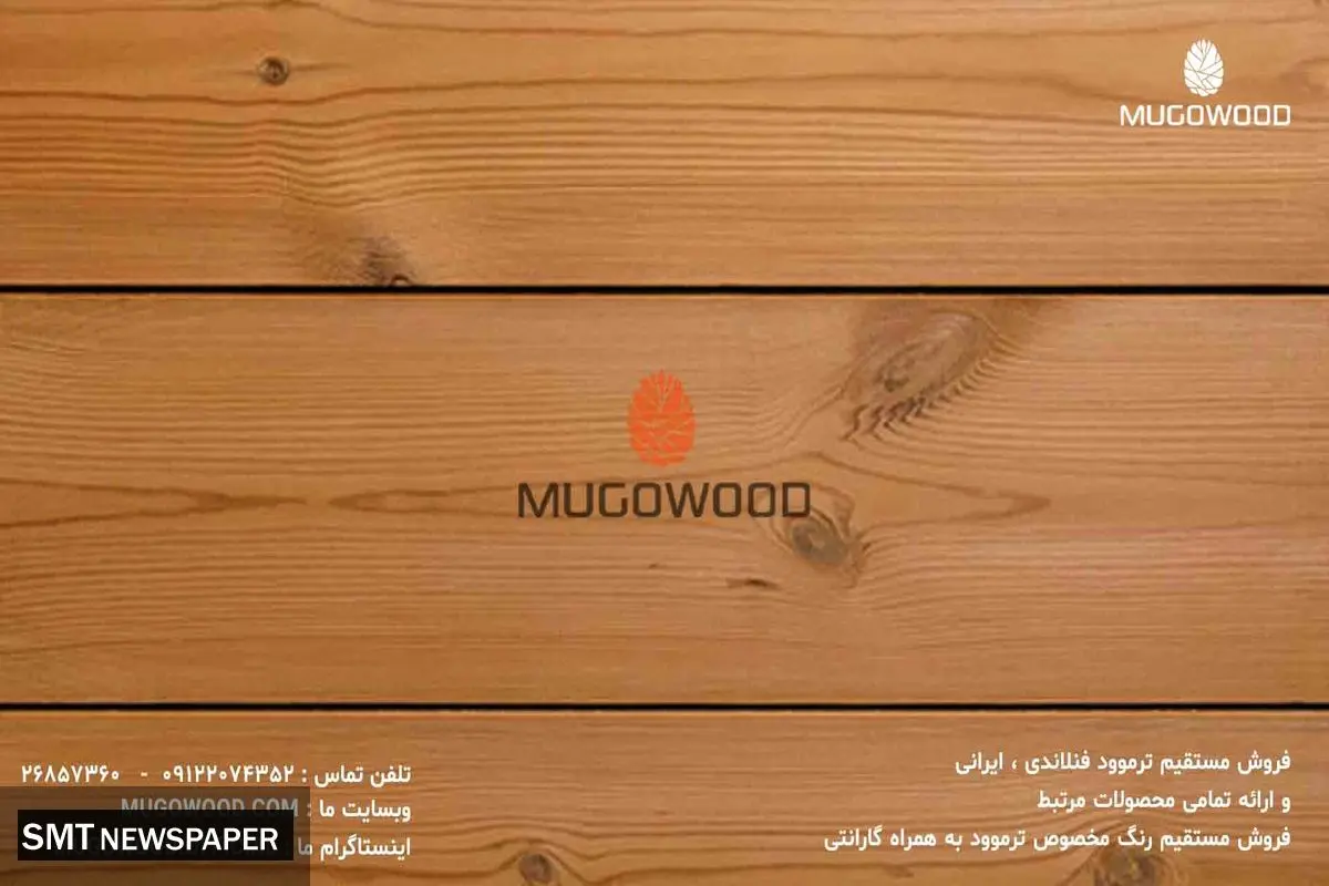 خرید چوب ترموود